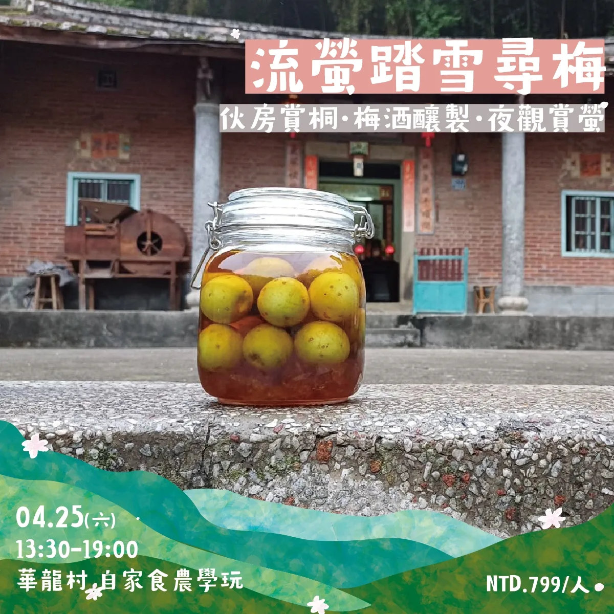 芎林桐花小旅行-流螢踏雪尋梅。芎林鄉公所提供