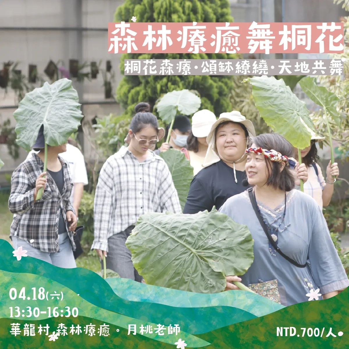 芎林桐花小旅行-森林療癒舞桐花。芎林鄉公所提供