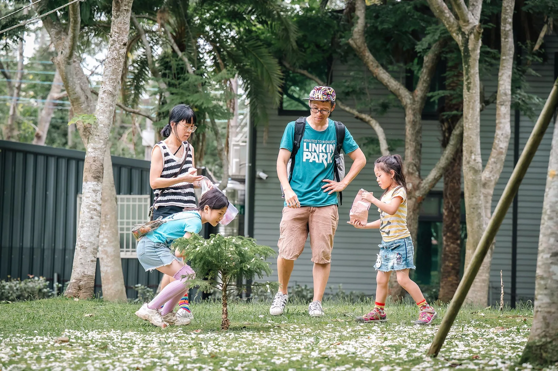 客家局說明，2026桃園桐花祭將於4月18日至5月9日登場，規劃楊梅、龍潭、大溪、蘆竹及龜山等5大賞桐展區。桃園市政府提供