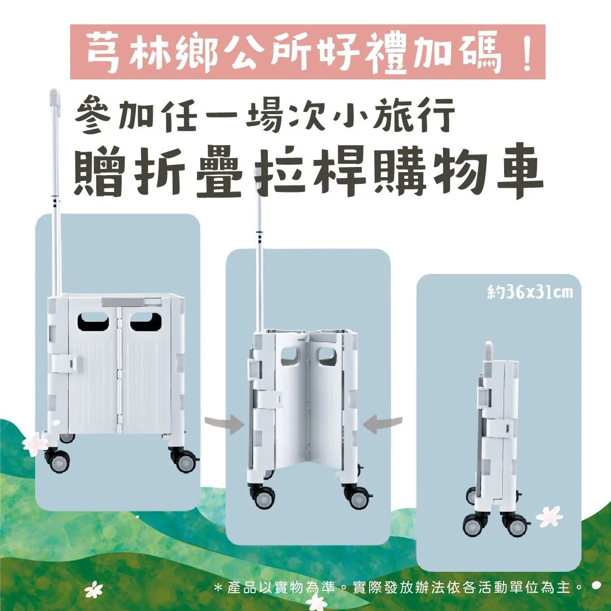 芎林桐花小旅行報名開跑。芎林鄉公所提供