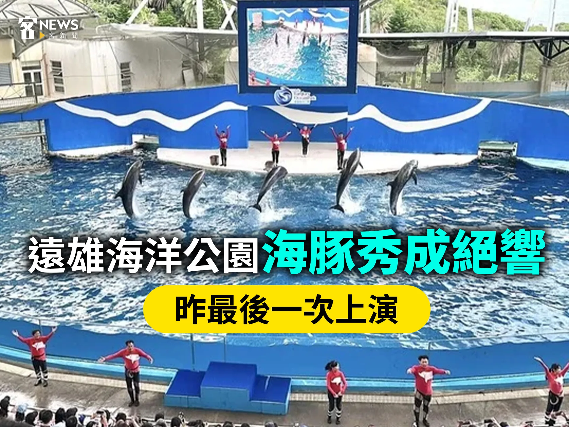 遠雄海洋公園海豚秀成絕響　昨最後一次上演