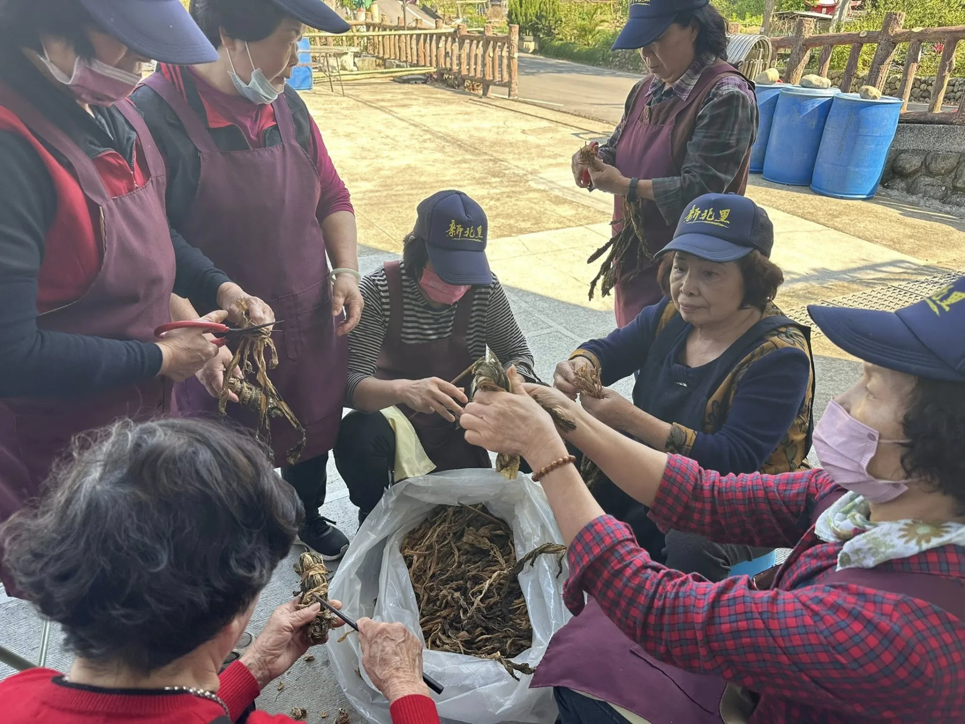 竹縣新埔新北社區　成全國智慧共生示範社區