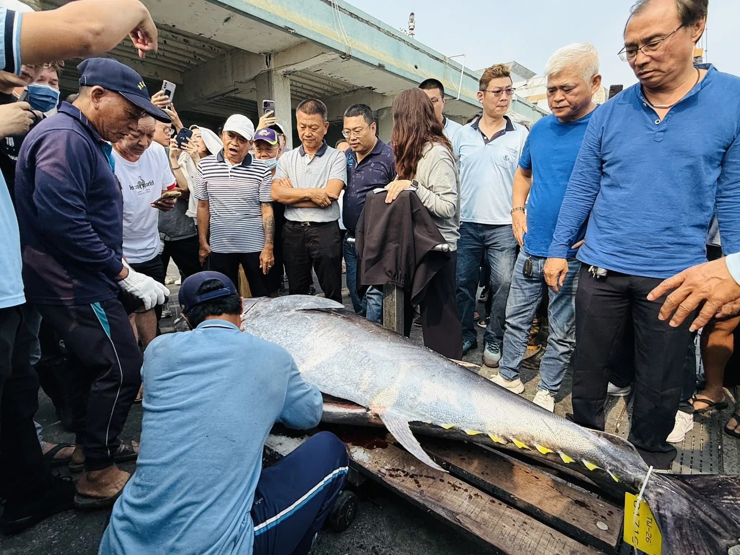 2026屏東東港捕獲第一尾黑鮪魚,經東港區漁會鑑定小組,確認魚體綁上身分證標籤及去鰓,魚體再過磅確認超過175公斤標準,最後由東港區漁會總幹事鄭鈺宸宣布「第一鮪」確定。屏東縣政府提供
