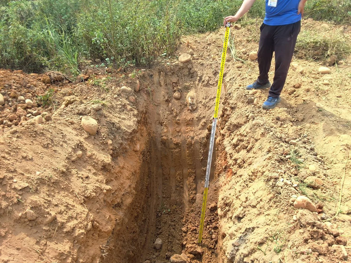 桃園龍潭、楊梅有不法集團「假租地種樹」，不法所得逾4億元。桃園市環保局提供