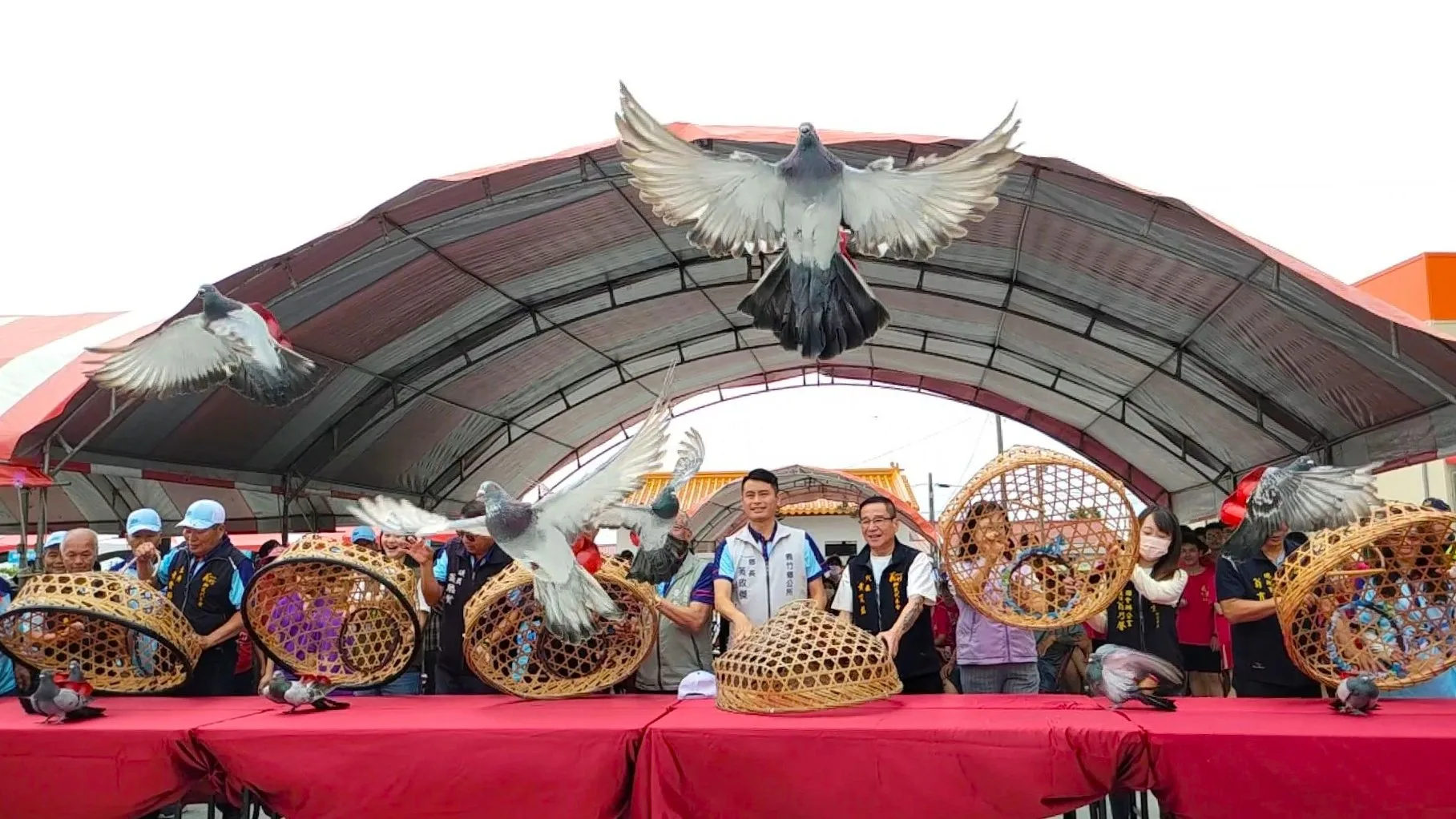 嘉義義竹鴿笭文化季開籠儀式,展開約20日比賽。嘉義縣義竹鄉公所提供