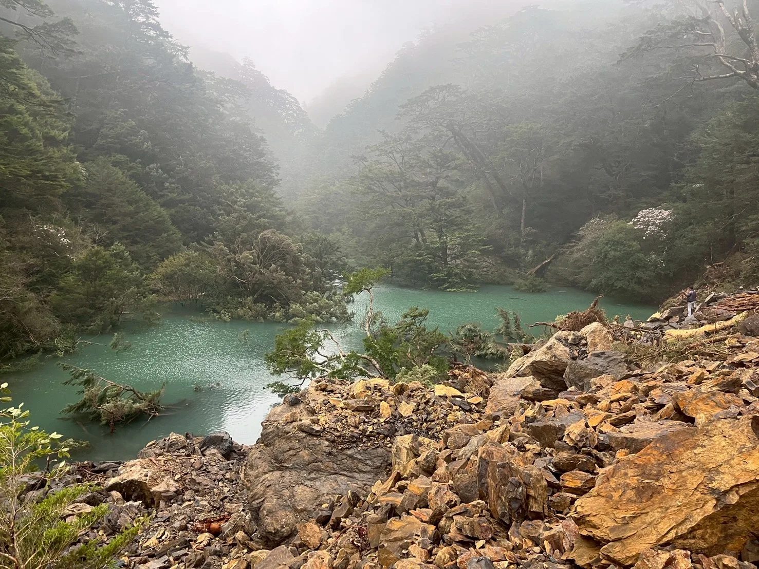 合歡溪上游堰塞湖。林保署台中分署提供