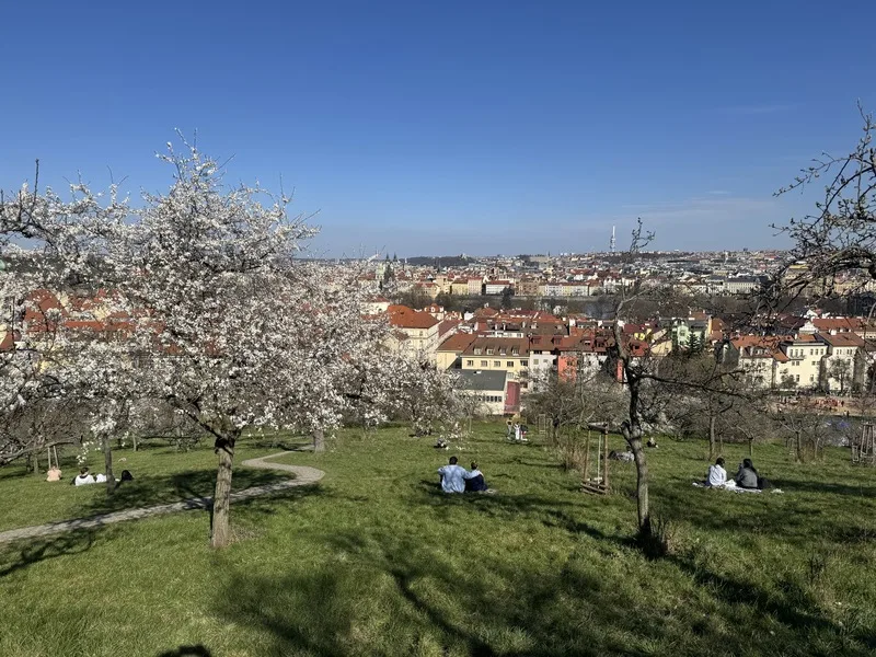 捷克首季萊姆病逾1300例　專家籲穿長褲、避免坐草地