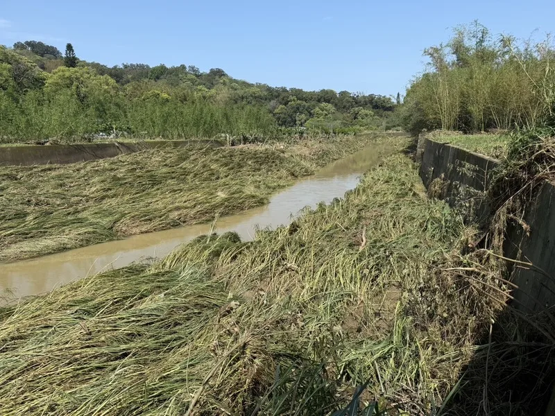 苗栗豪雨釀頭屋沙河溪溢堤，居民陳情盼整治河道。中央社提供