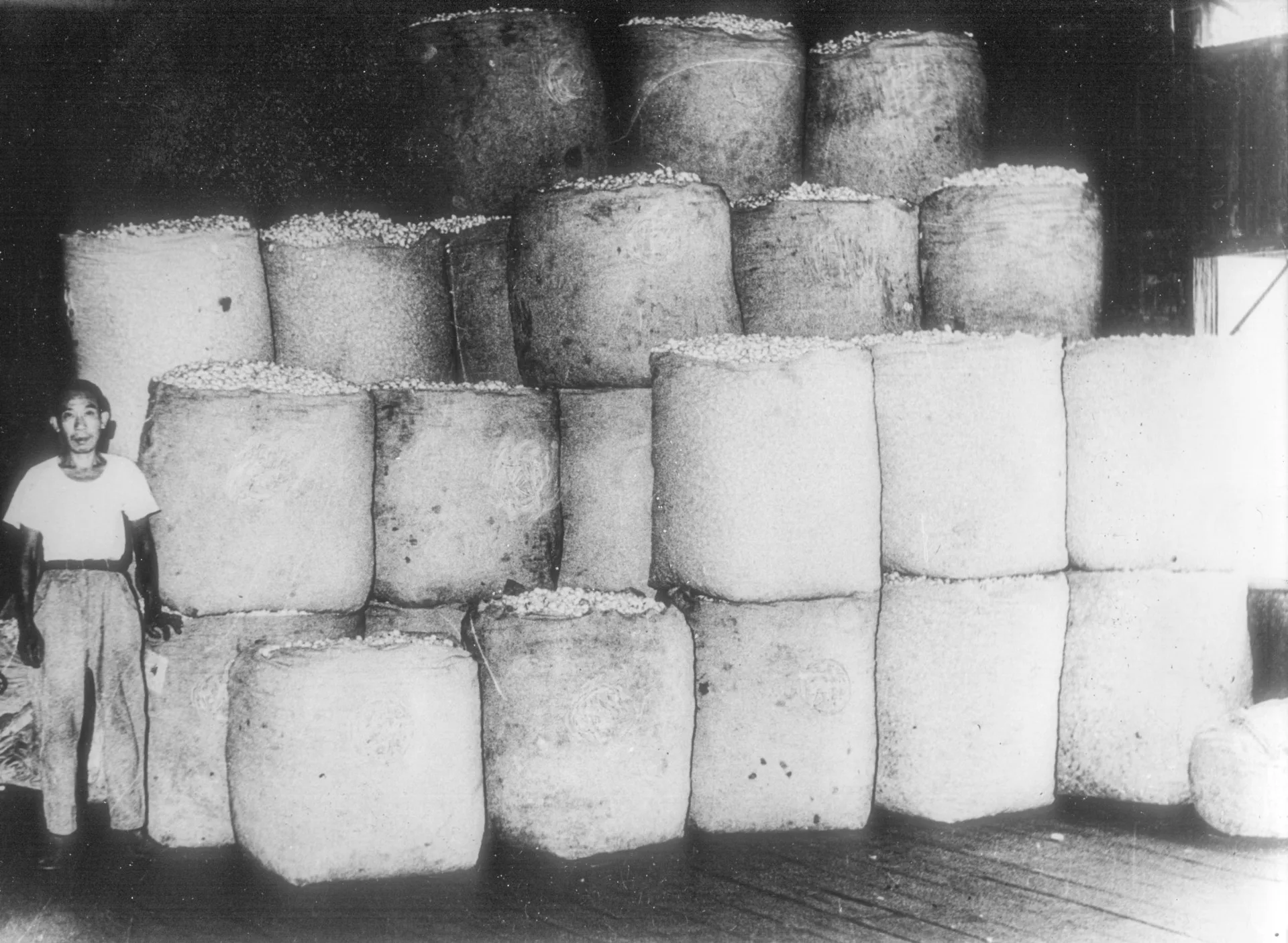 台灣蠶絲公司1970年代收購的蠶繭來自全台各地，蠶繭堆積如山。邱新霖提供