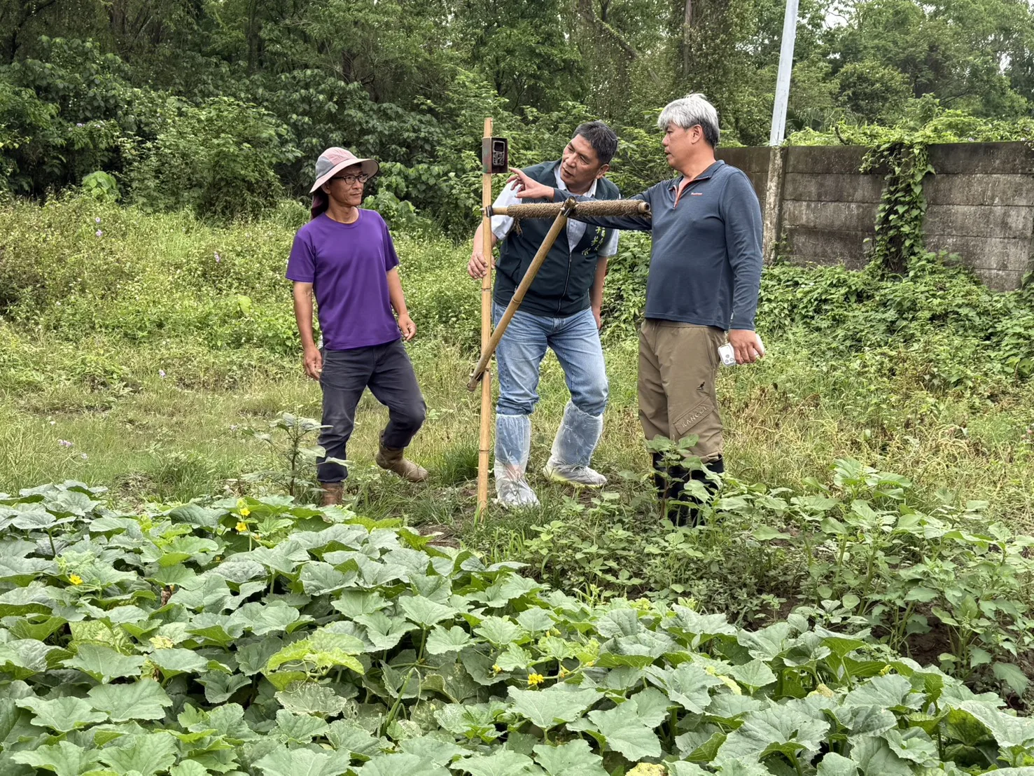 守護草鴞　台南推棲地生態給付