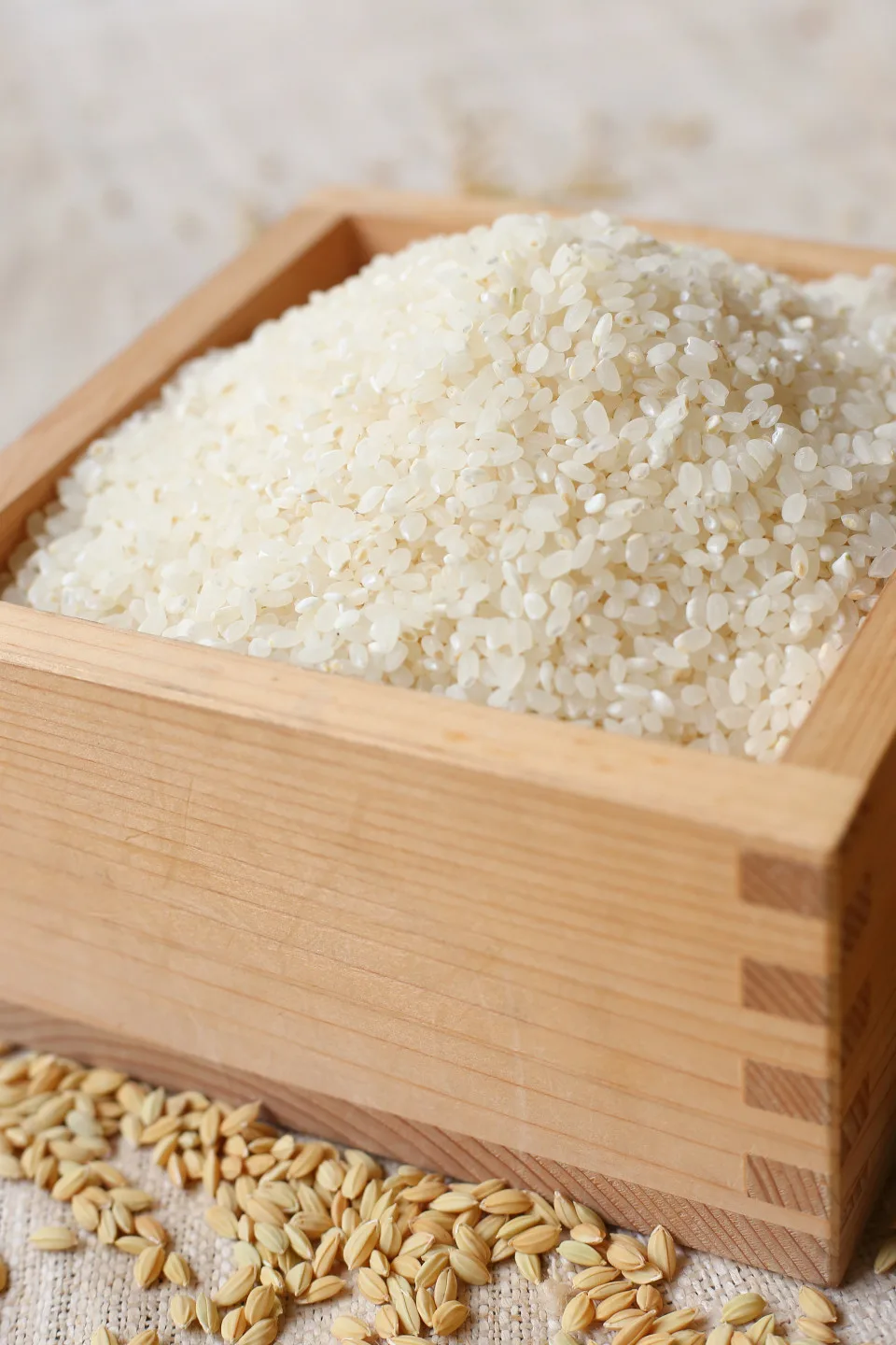 高雄147號白米。美濃農會提供