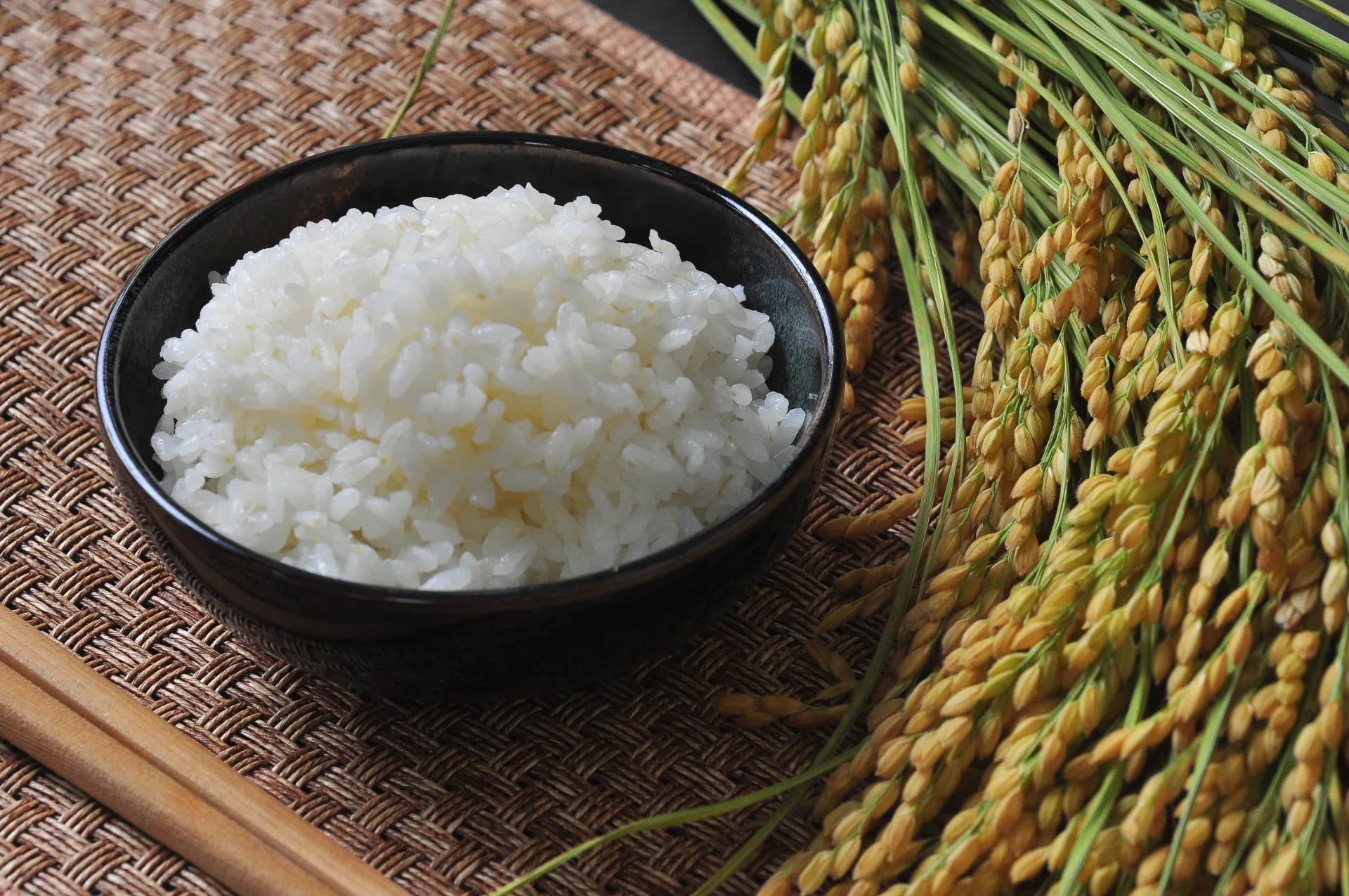 高雄147號生米煮成熟飯。美濃農會提供