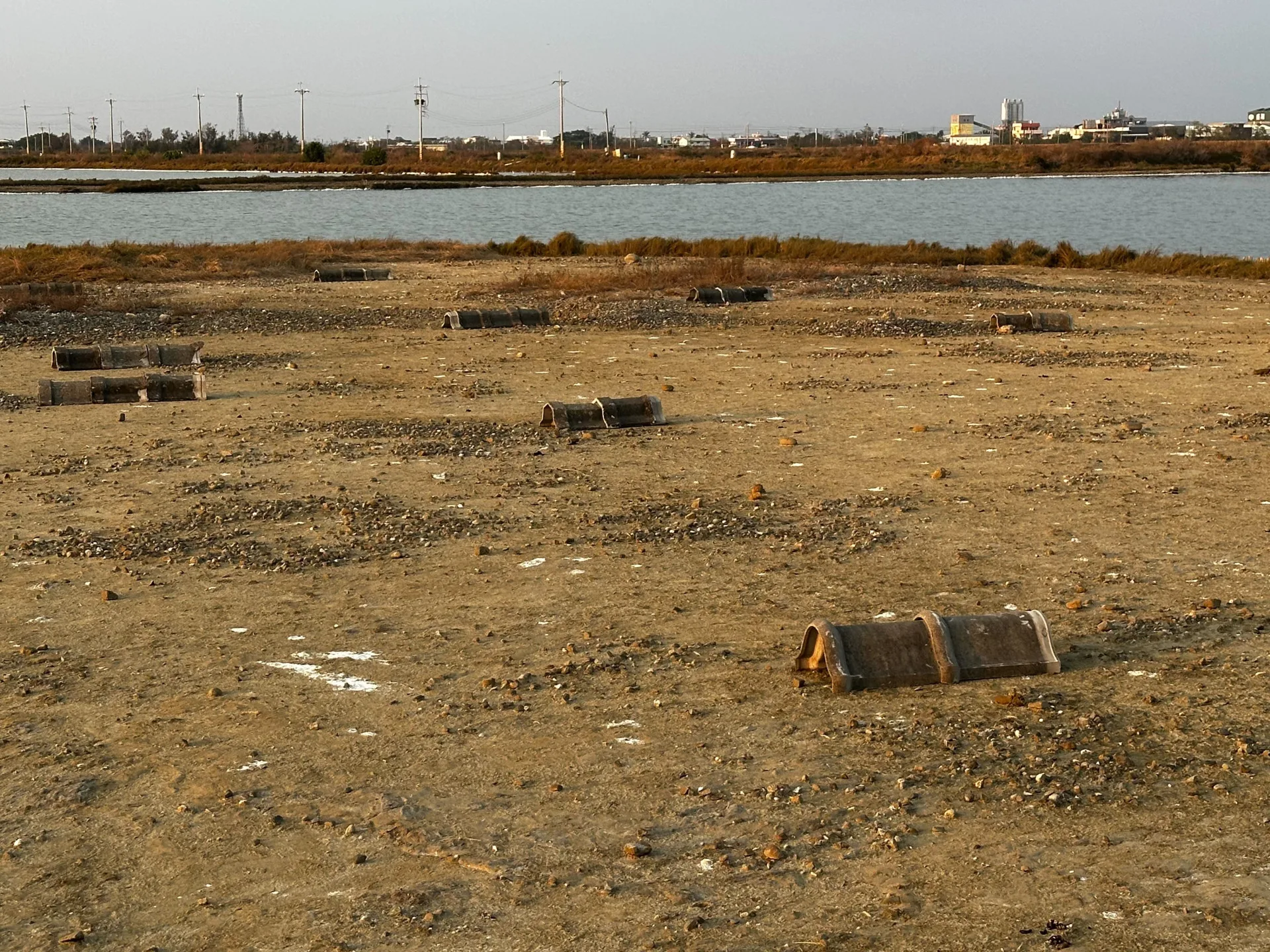 布袋在地專家蔡福昌帶領居民在鹽田設置竹樁圍籬,設立護鳥圍籬,守護小燕鷗重要繁殖棲地。嘉義縣政府提供