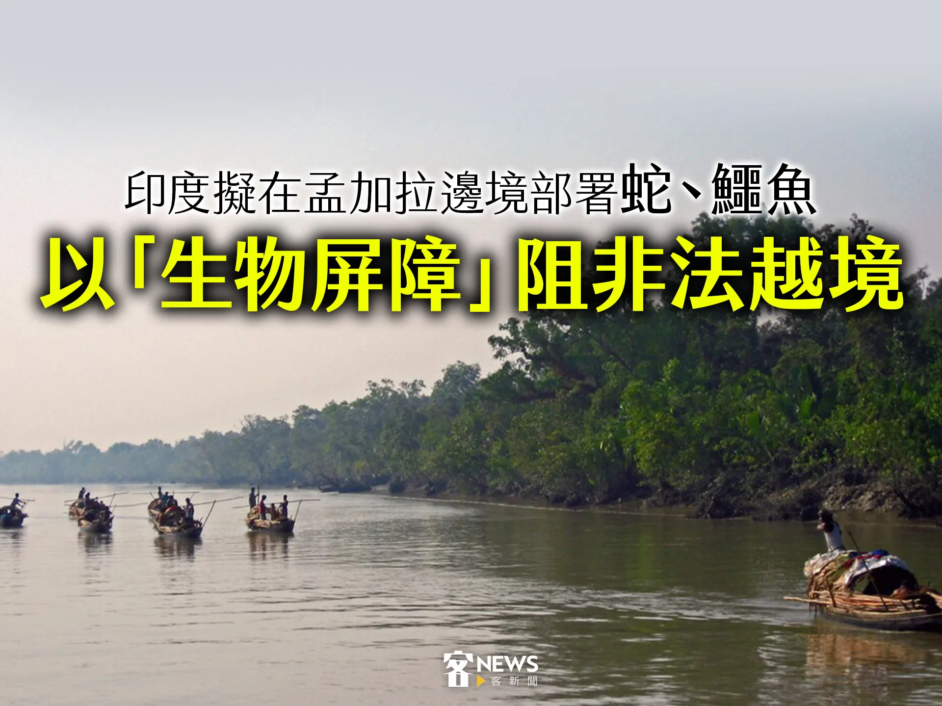 印度擬在孟加拉邊境部署蛇、鱷魚　以「生物屏障」阻非法越境