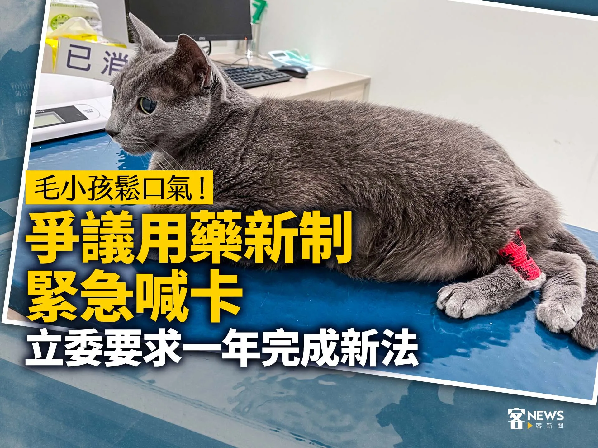 毛小孩鬆口氣！爭議用藥新制緊急喊卡　立委要求一年完成新法