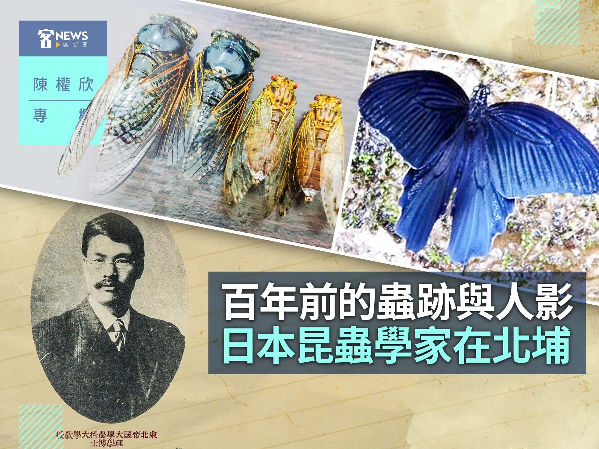 陳權欣專欄／百年前的蟲跡與人影　日本昆蟲學家在北埔