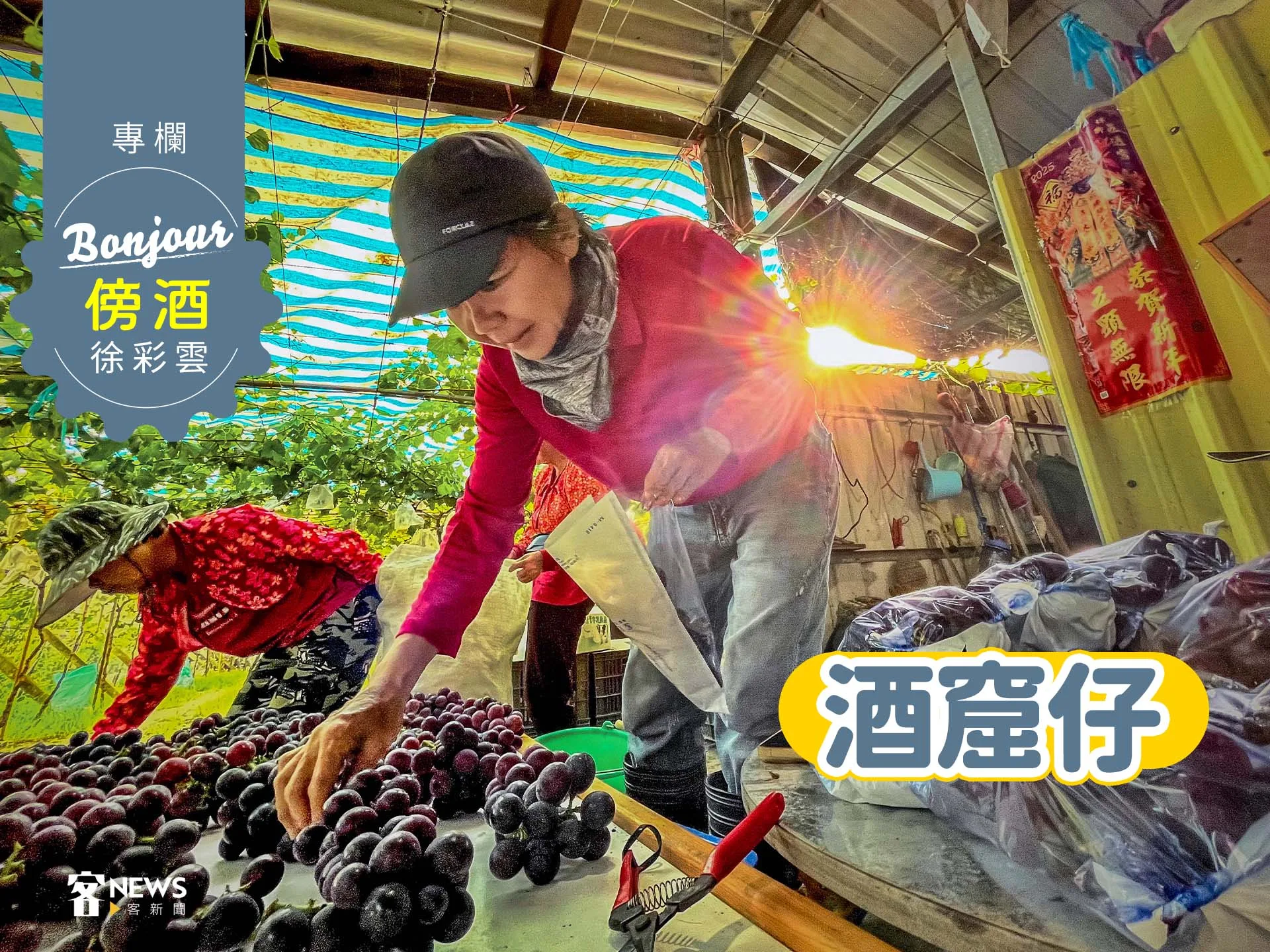 徐彩雲／酒窟仔