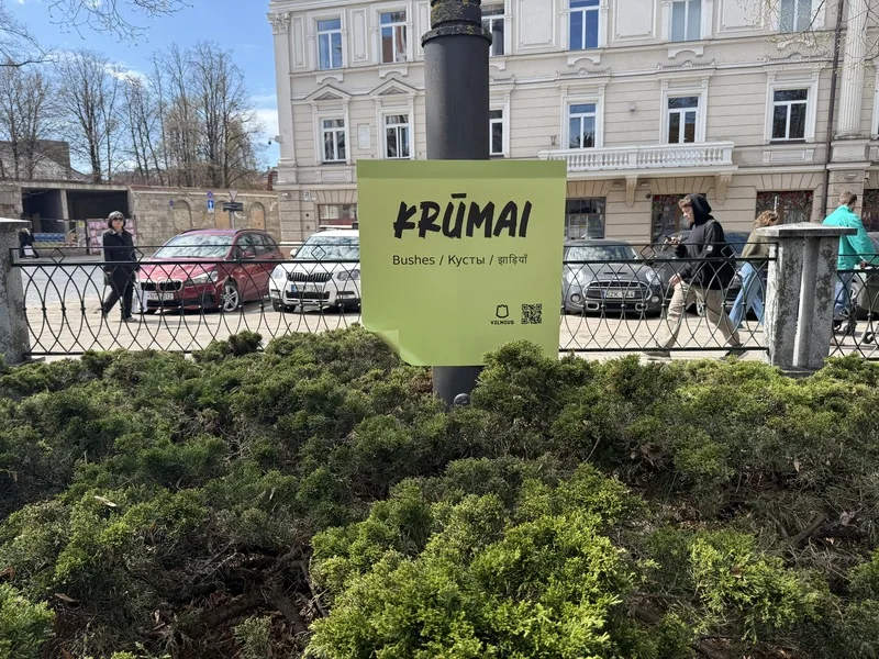 標有「灌木叢」立陶宛語的巨型便利貼。中央社