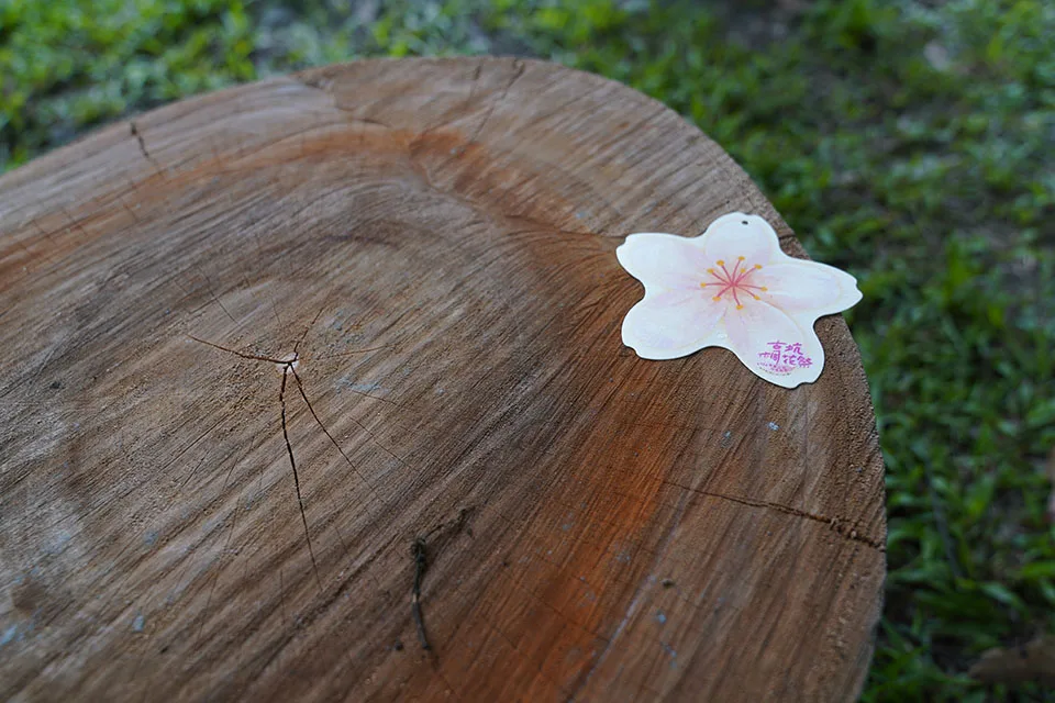 去年颱風受損的桐花樹，截短後再利用，成為雲林古坑荷苞山桐花公園內的休憩座椅。