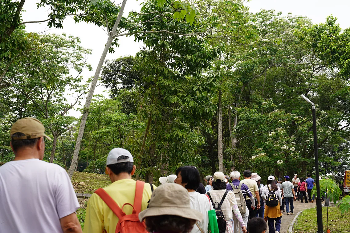「2026古坑桐花祭-山林裡的白色約定」，今(18)日在雲林古坑荷苞山桐花公園連續兩天活動，民眾攜家帶眷出遊賞桐花。