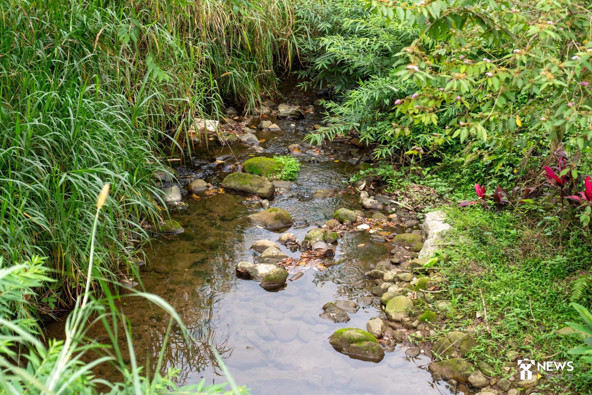 安坑地區舊稱為「暗坑」，早期開發以福建漳州移民為主，其中許多是來自漳州府詔安縣、南靖縣等地的「客底」。洪藝晅攝