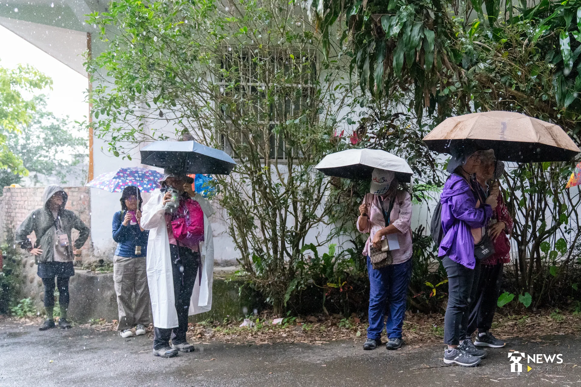 安坑客底小旅行到一半，靜下起滂沱大雨。洪藝晅攝