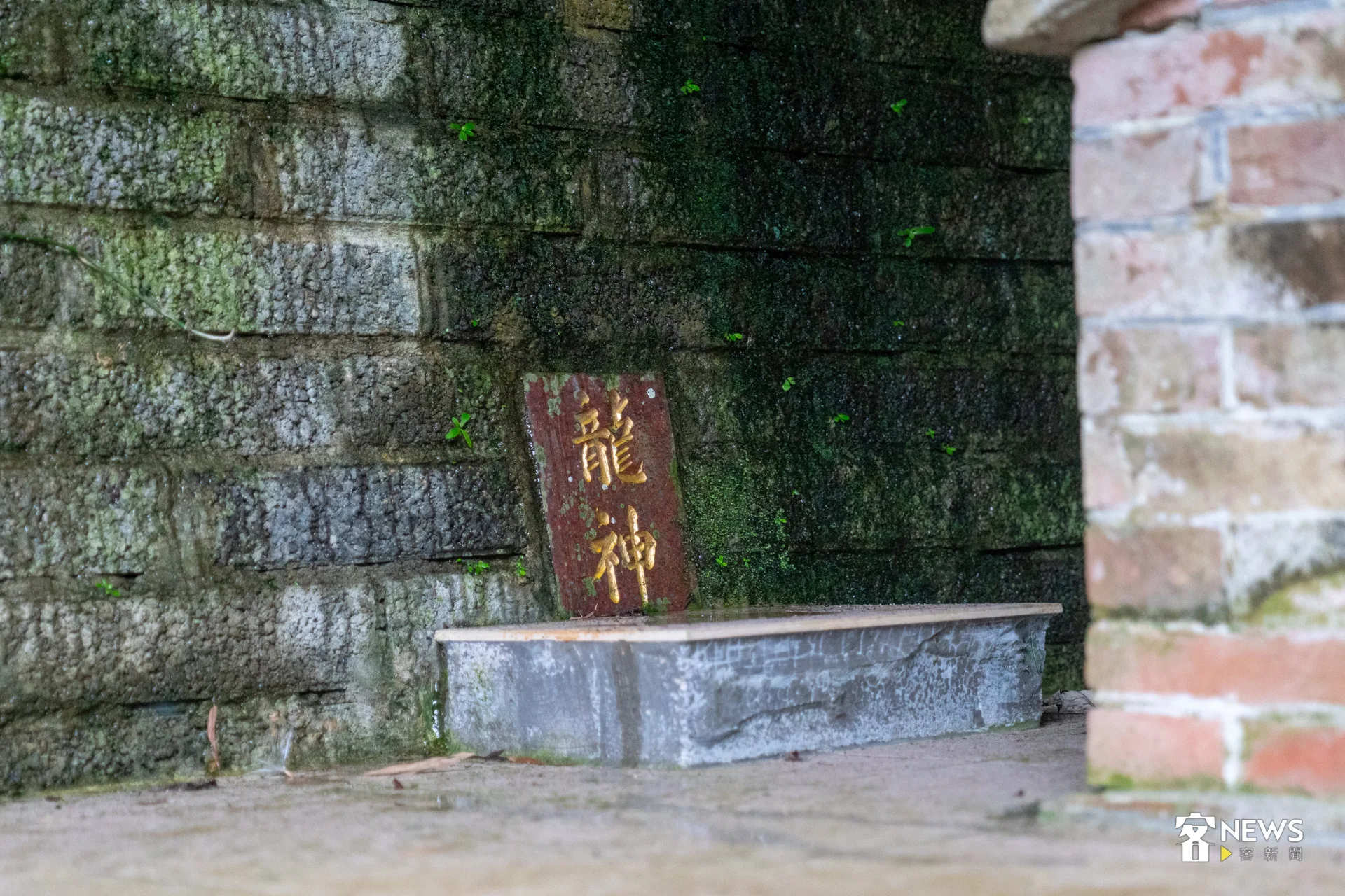 客家人稱土地龍神為「龍神」，源自於風水龍脈，希望能讓家族旺盛。洪藝晅攝