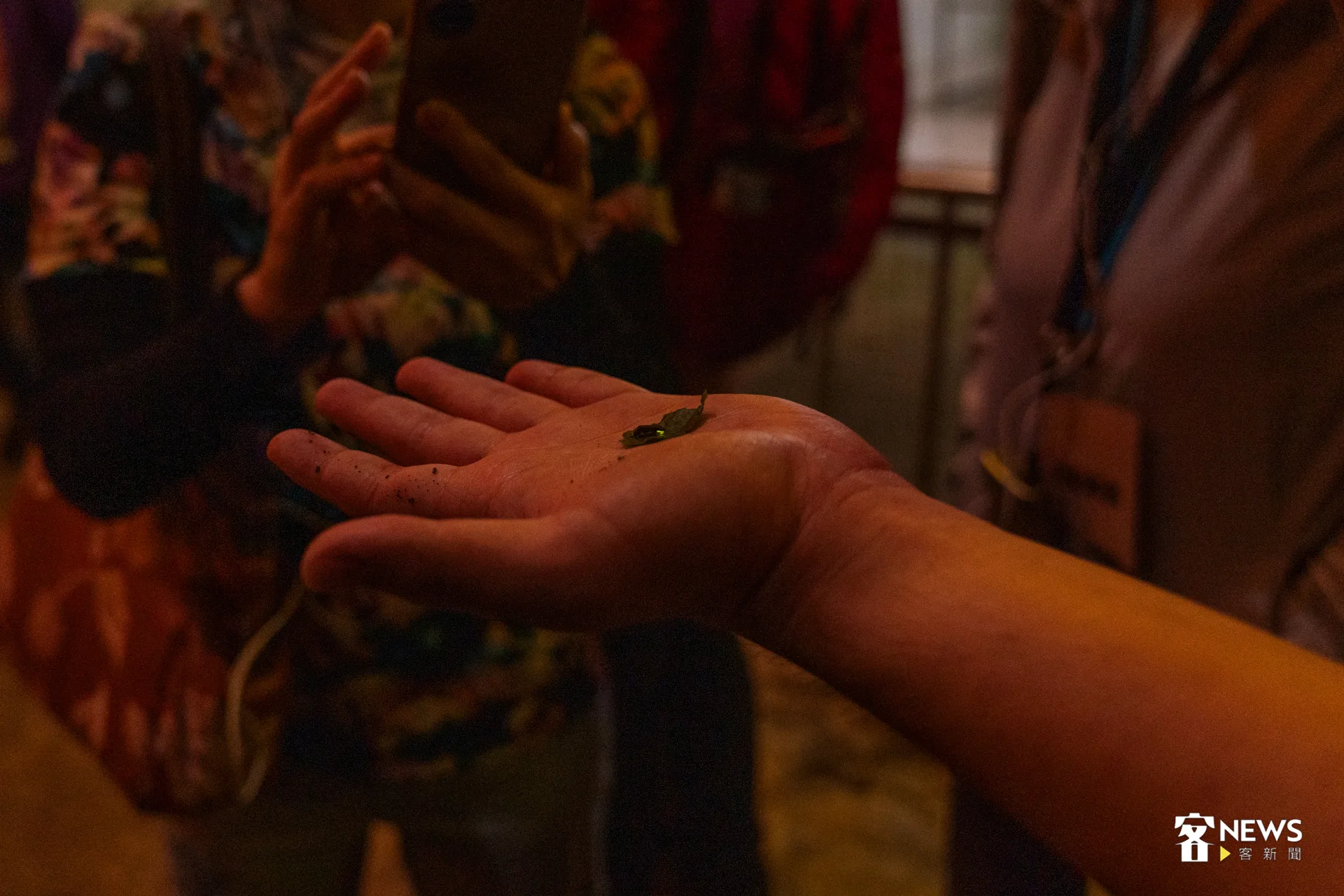 夜幕低垂後，安排螢火蟲生態導覽，讓參與者在山林微光中感受自然與人文交織的魅力。洪藝晅攝