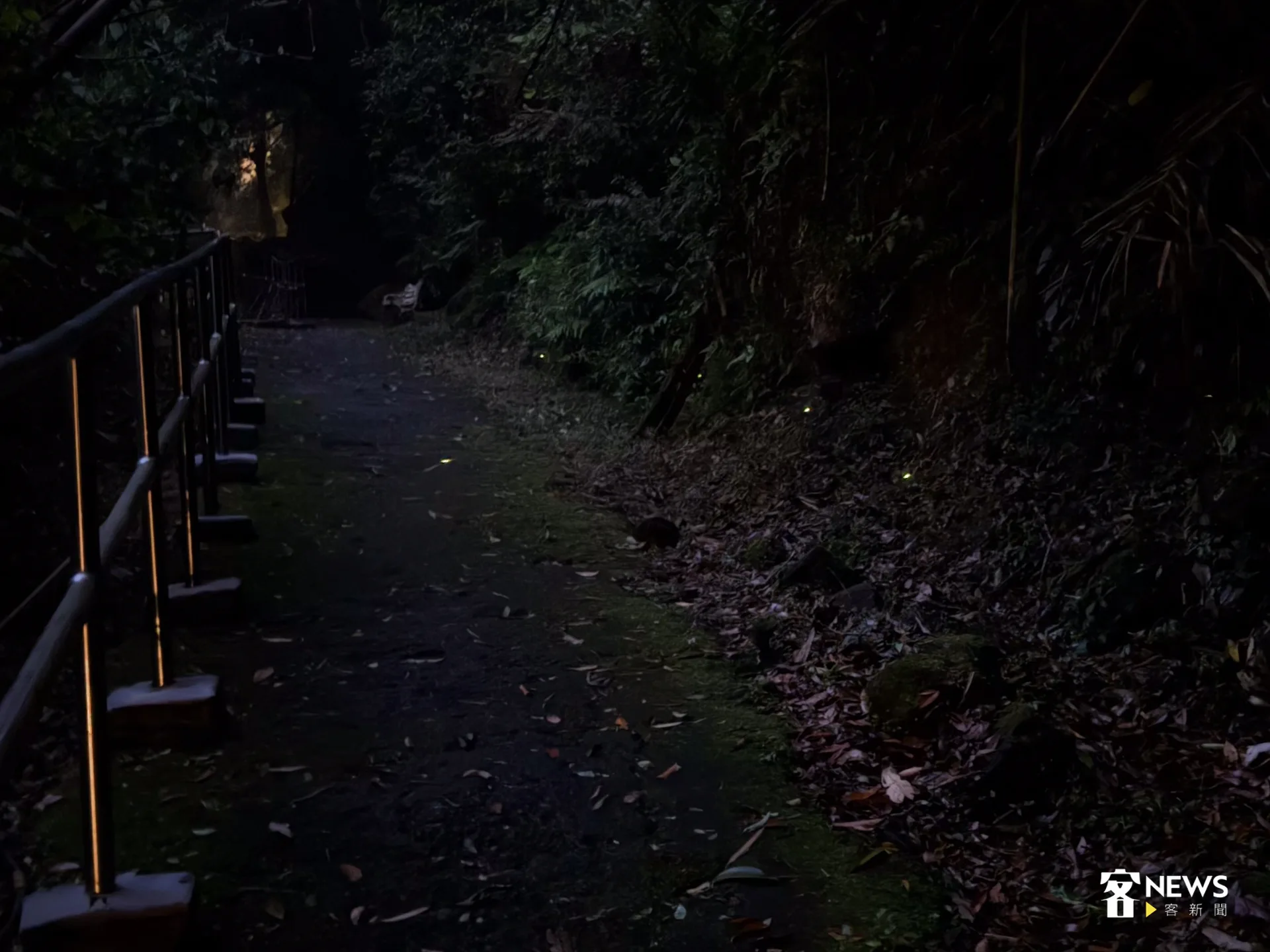 夜幕低垂後，安排螢火蟲生態導覽，讓參與者在山林微光中感受自然與人文交織的魅力。洪藝晅攝