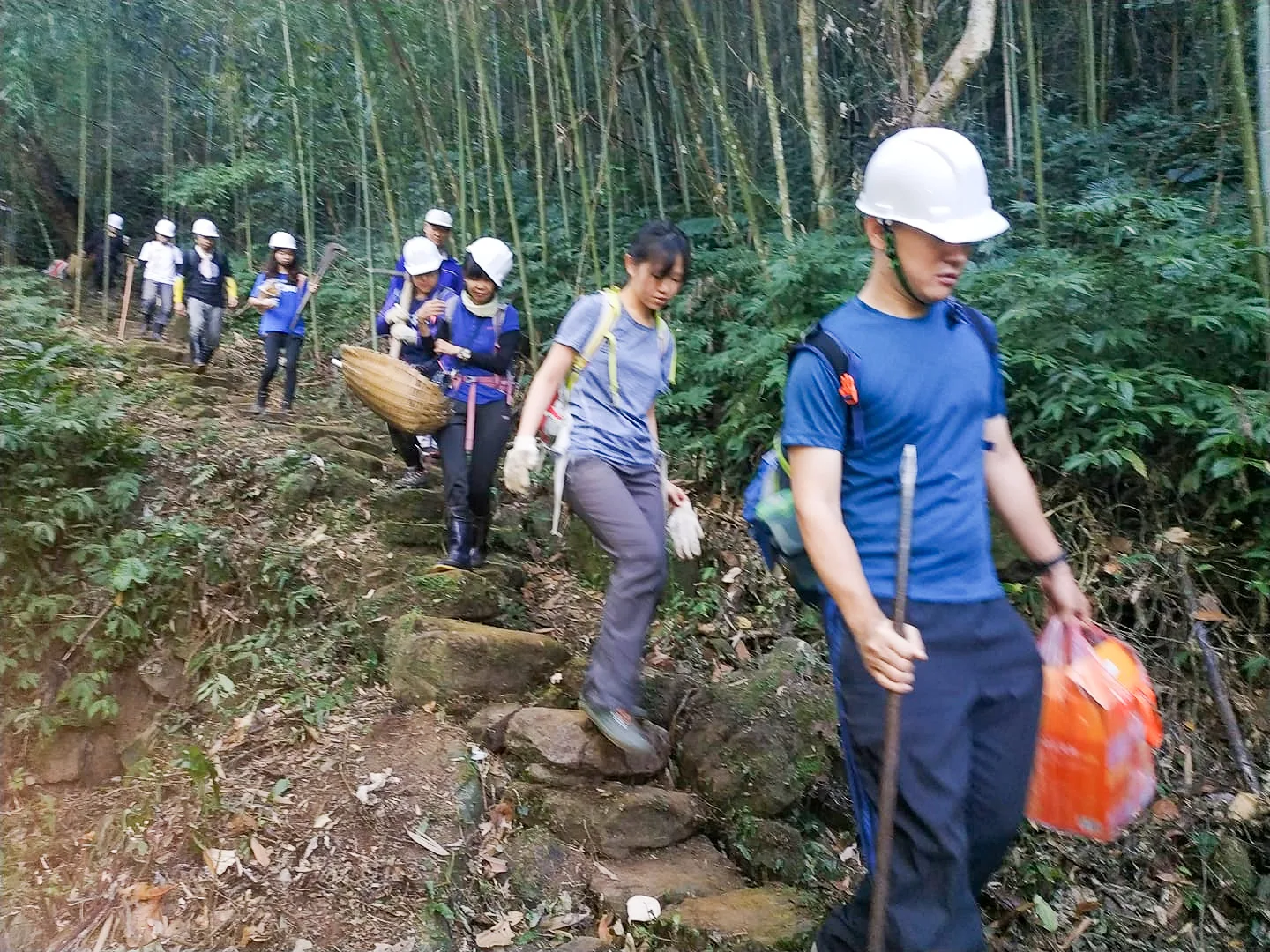 千里步道義工們到北埔山區桂竹園，幫陳姓家族整理山區步道，這邊的桂竹園品相不佳，所產竹筍都很小棵。幾十甲桂竹園都荒廢了。陳權欣攝