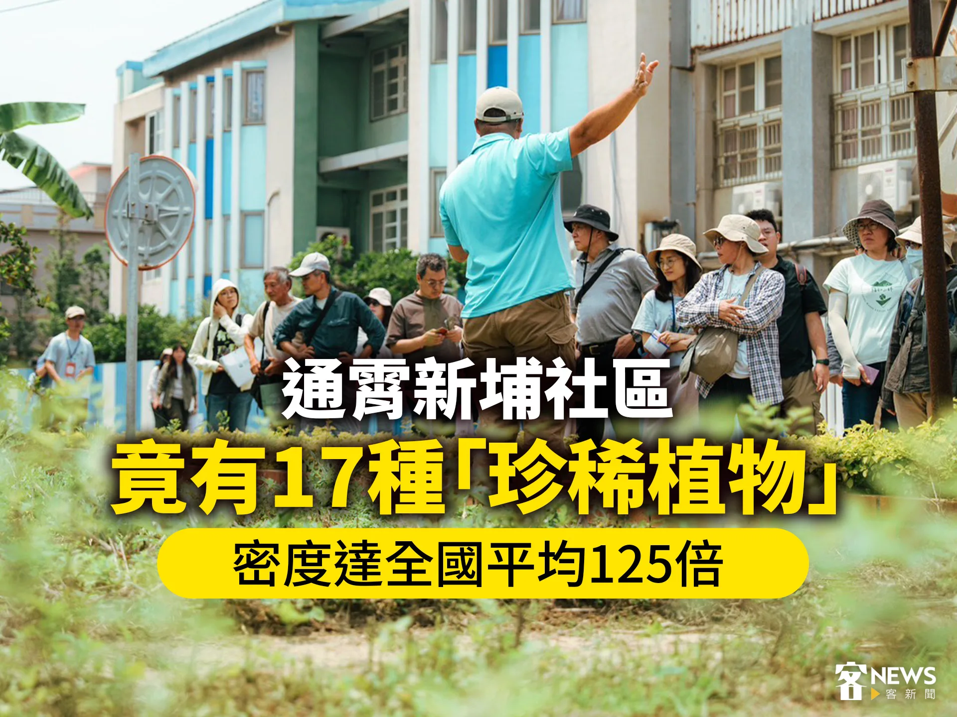 通霄新埔社區竟有17種「珍稀植物」　密度達全國平均125倍