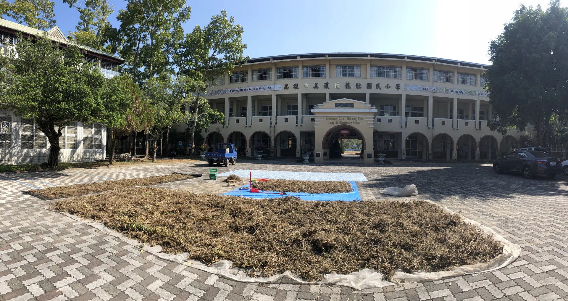 龍肚國小的前庭也是曬豆場。五年前，我在這裡遇到一片紅豆筴。食農教育的核心是透過食物與作物建立人與大自然的和解與理解。李慧宜攝