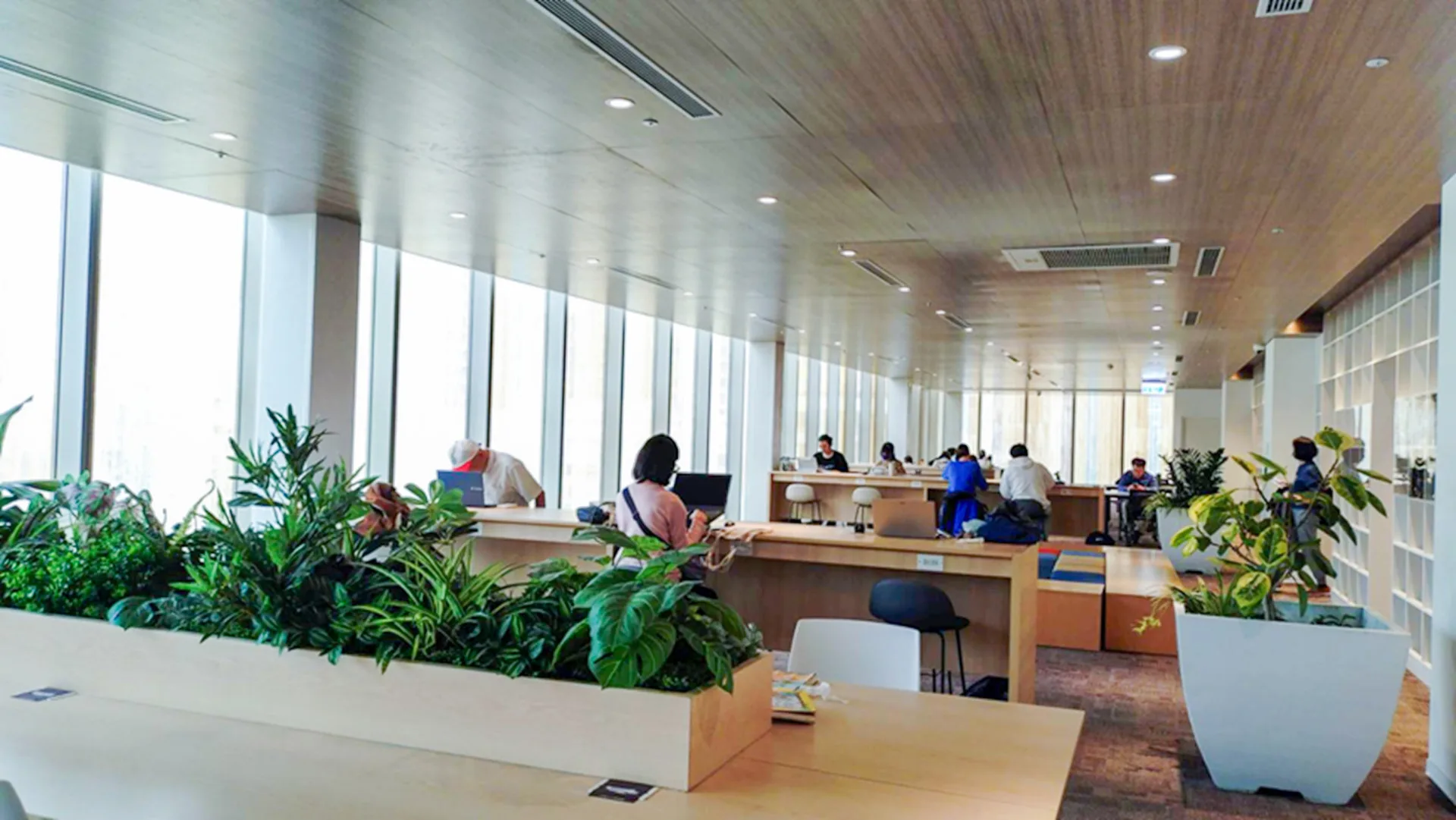 明亮節能的閱讀空間。星星攝