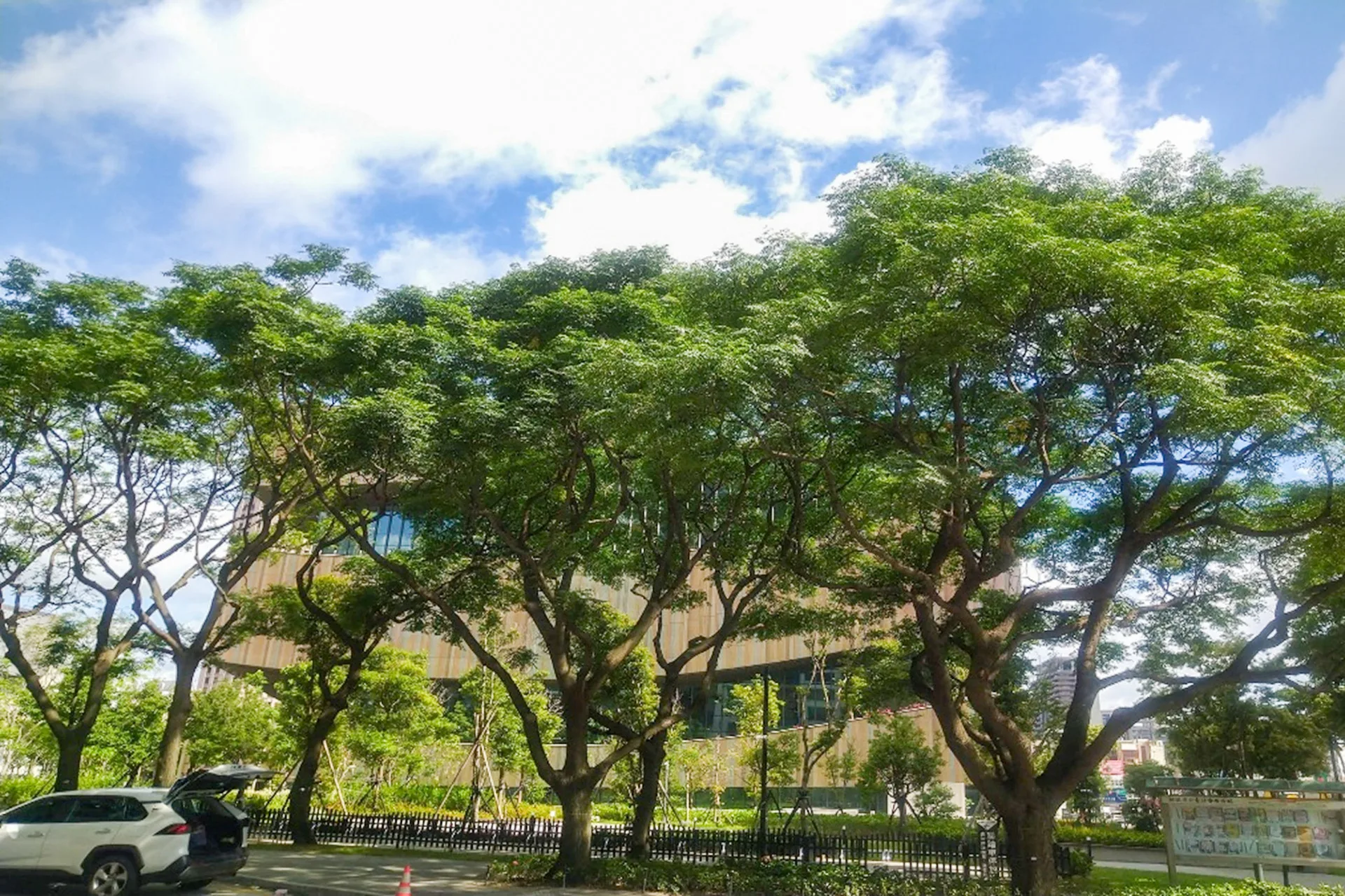 桃園最美的總圖。星星攝