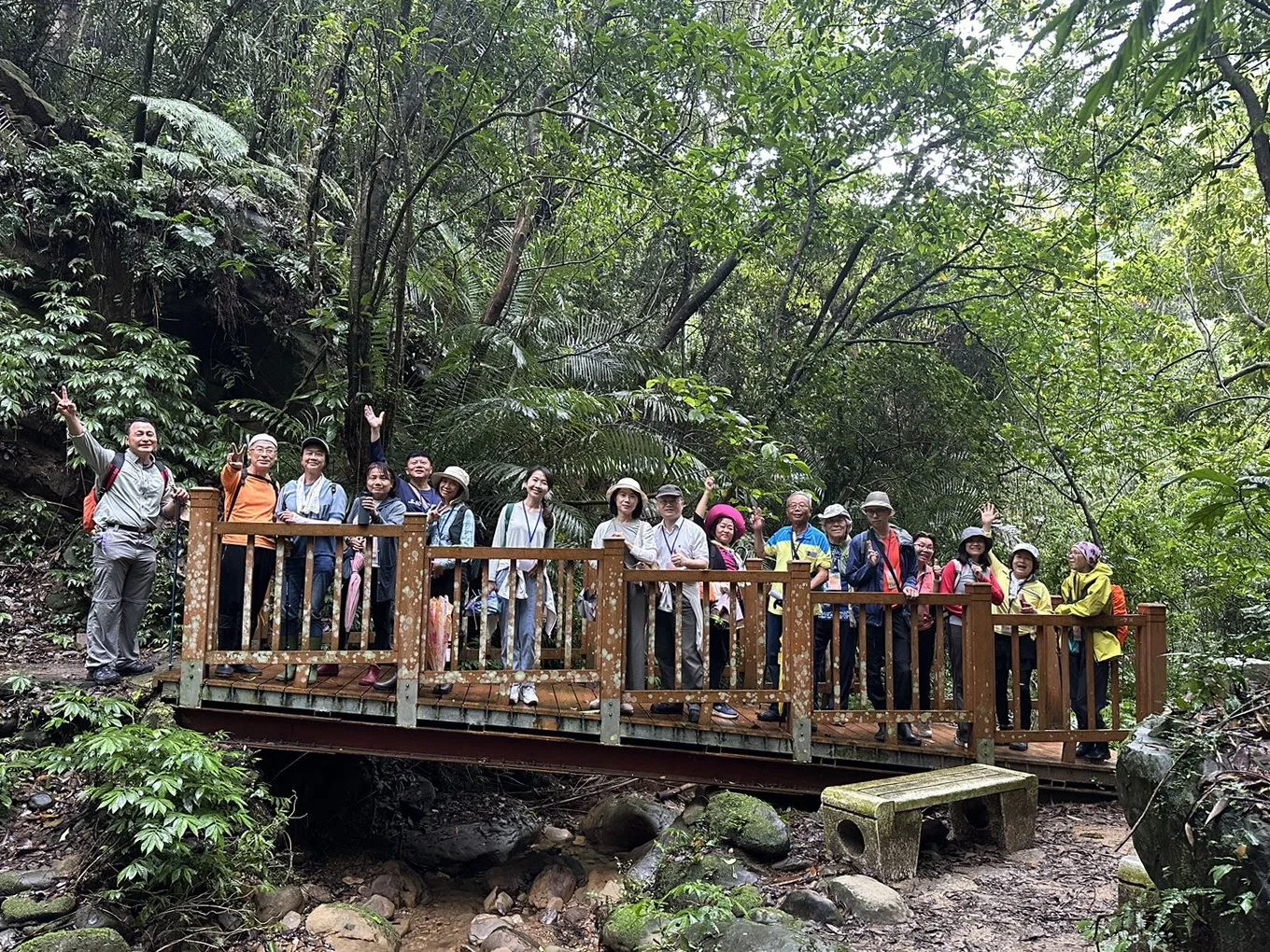 苗栗獅潭桐花季古道健行。苗栗縣政府提供