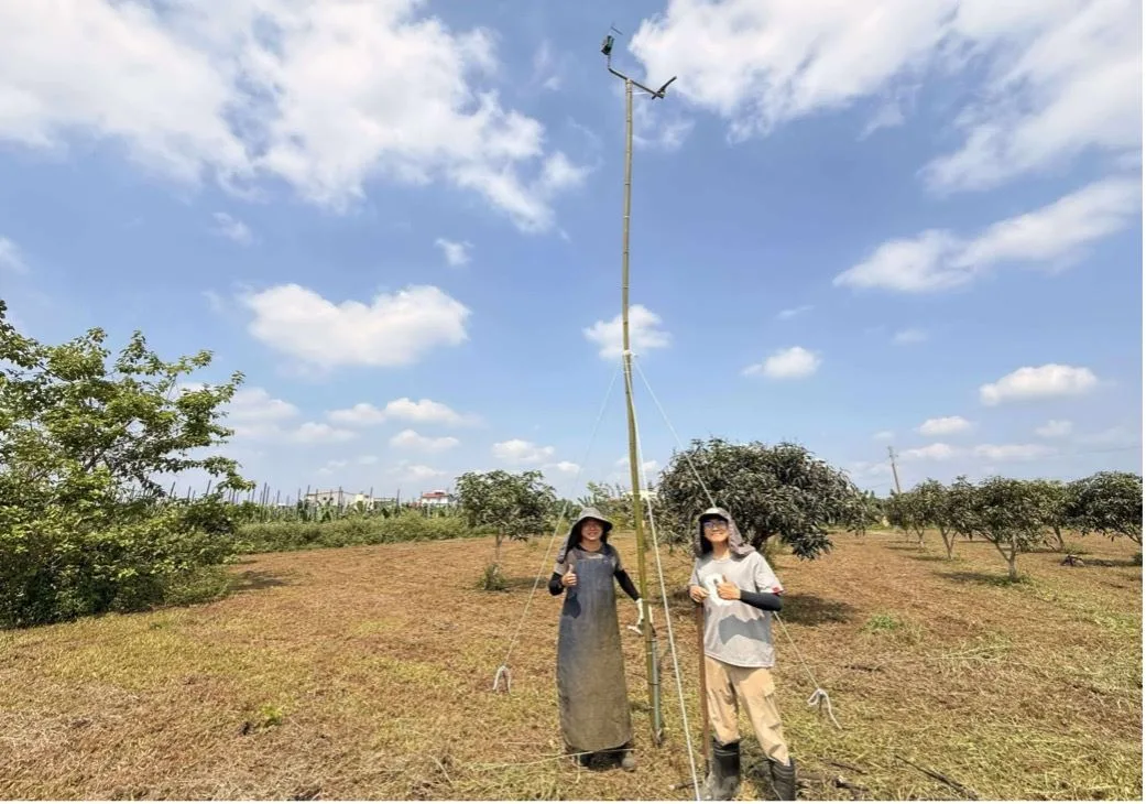 種田也能領生態薪水！屏東推草鴞棲地增納長治、萬丹