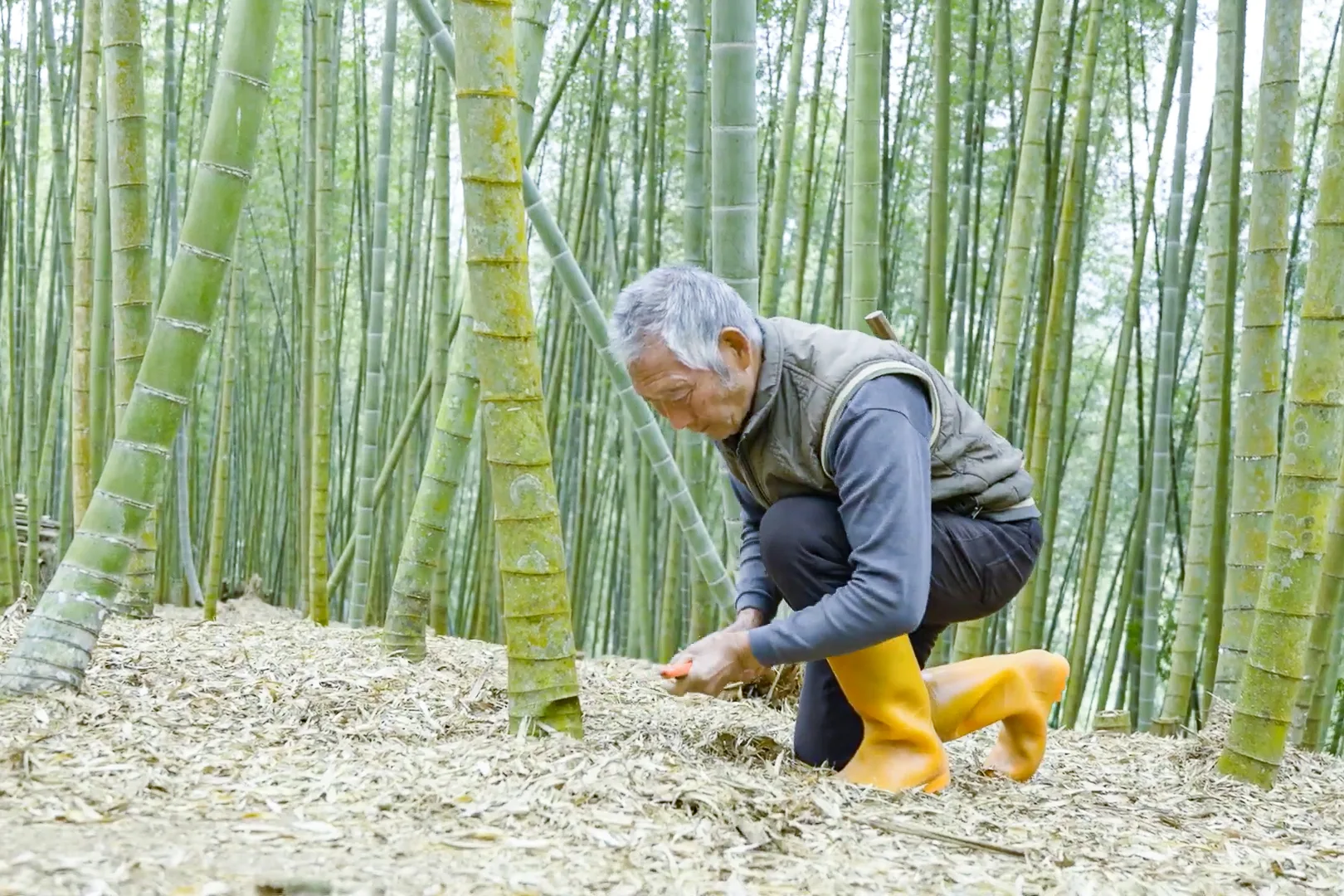 郭守發並非學竹藝出身，一精湛竹藝是耳濡目染及自己努力實作、經驗而成。翻攝自Youtube影片榮譽步道師：郭守發