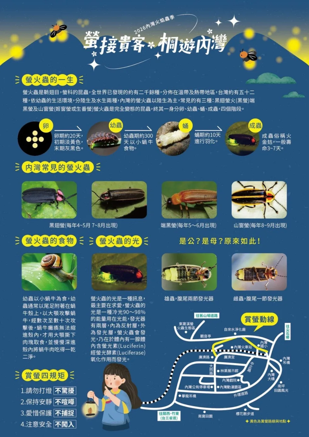 2026內灣火焰蟲季海報。新竹縣政府提供