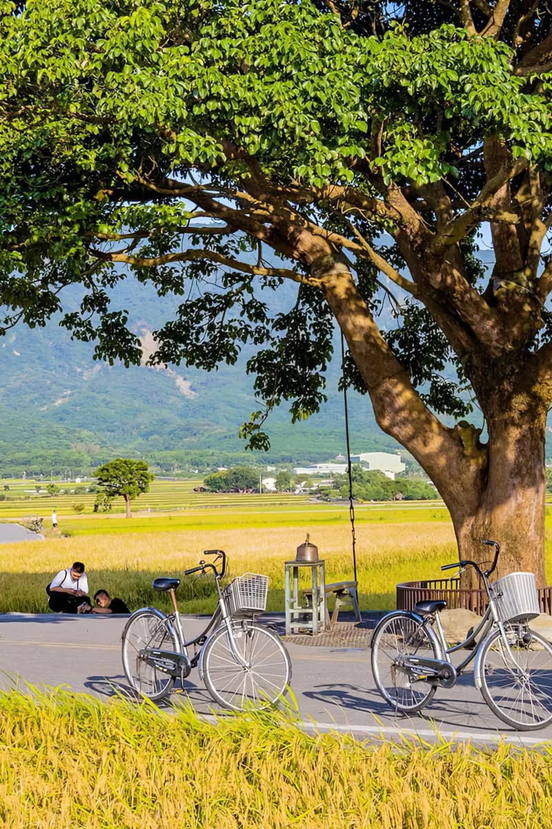為鼓勵旅客延長停留時間，深入探索臺東多元風貌，臺東縣政府推出「台東一遊未盡」長住方案及企業團體旅遊方案。截圖自台東縣觀光旅遊網