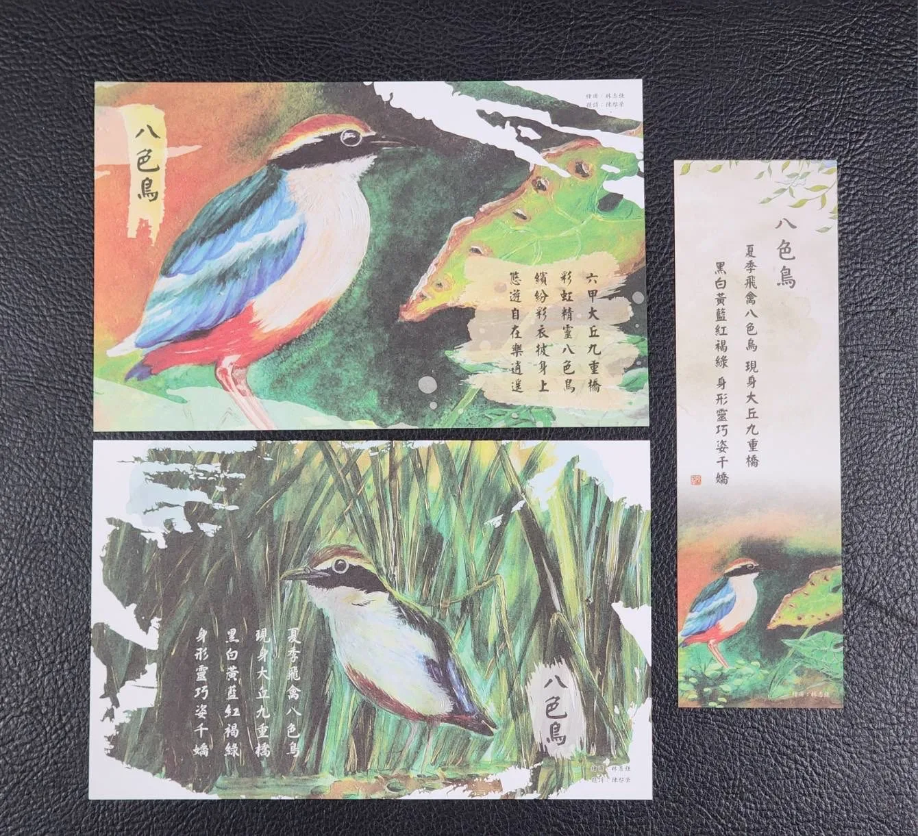 八色鳥連續8年現蹤台南六甲，區公所推八色鳥生態季紀念明信片及書籤。台南市六甲區公所提供