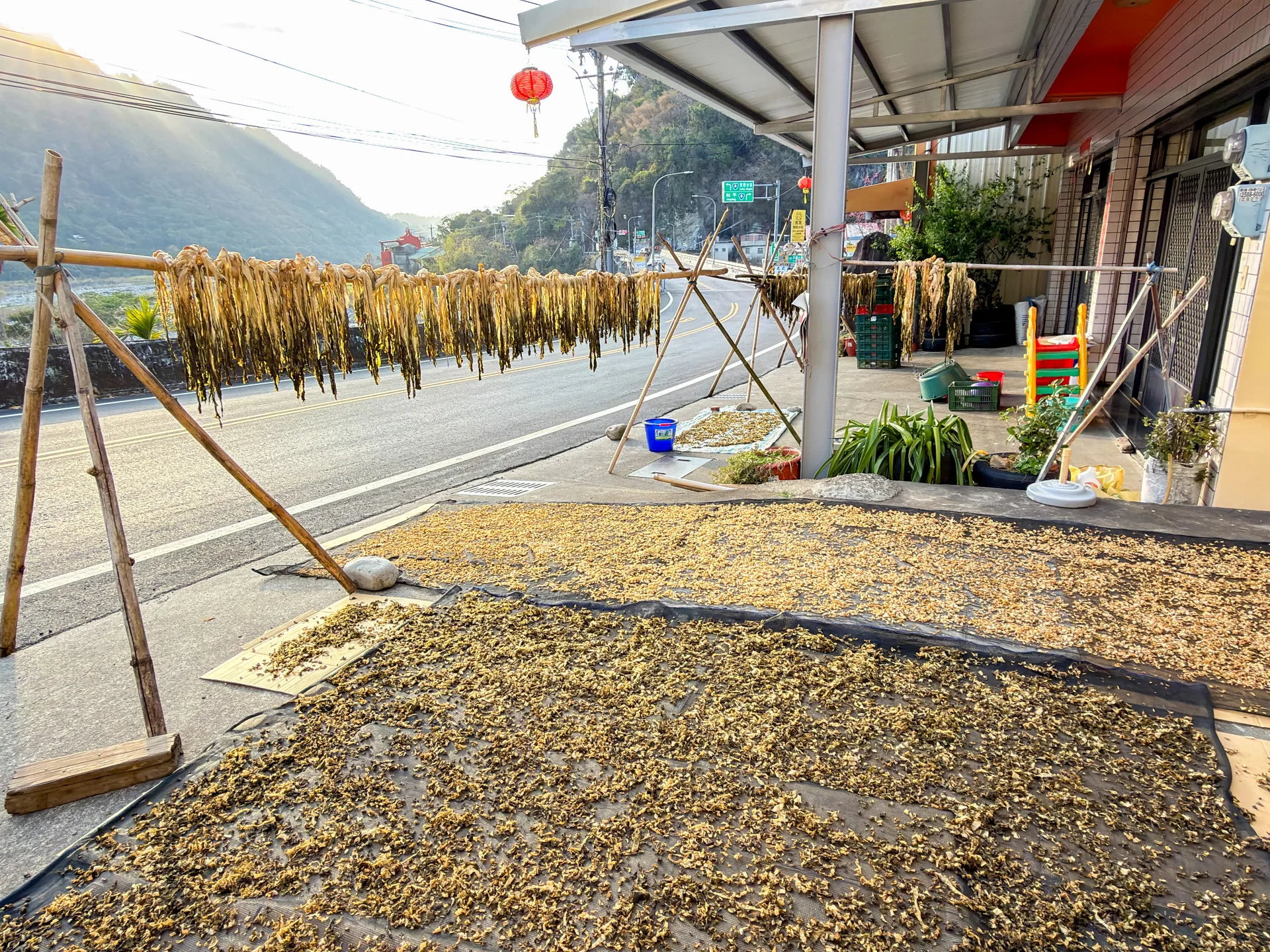 台21線上的山谷中，在新社與東勢的交界之處，客家人在曬鹹菜，可作覆菜可變鹹菜乾。蕭秀琴攝