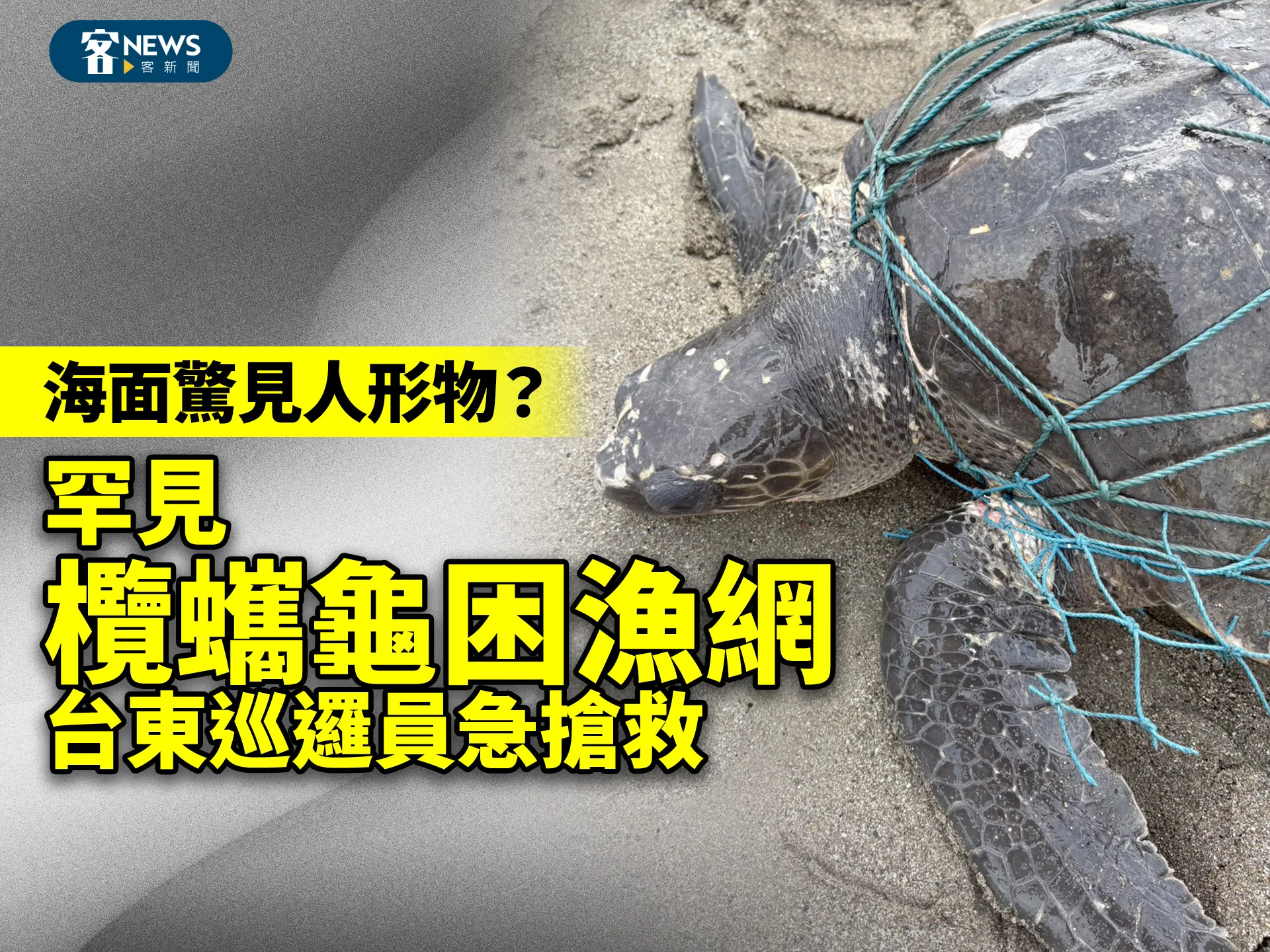 海面驚見人形物？罕見「欖蠵龜」困漁網　台東巡邏員急搶救