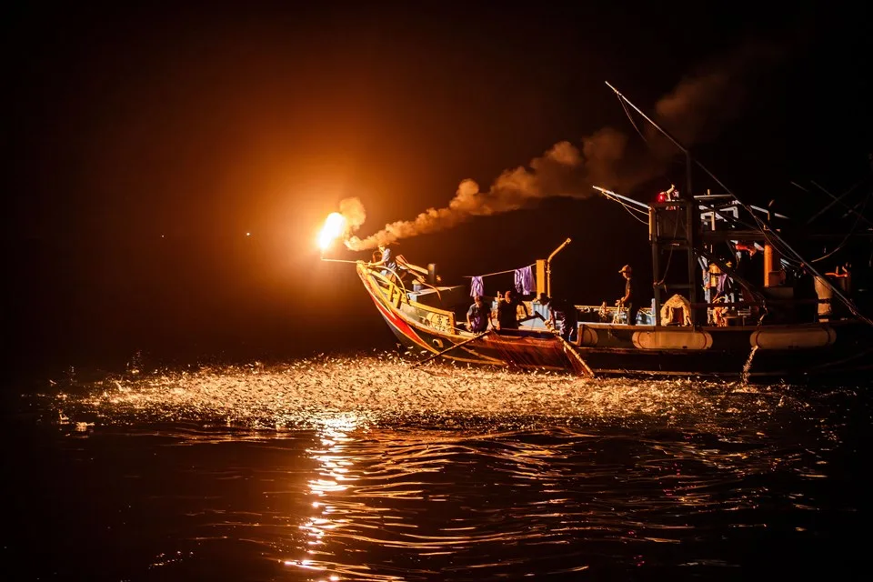 火光入海！金山蹦火仔5月開跑　百年捕魚技藝全球獨有