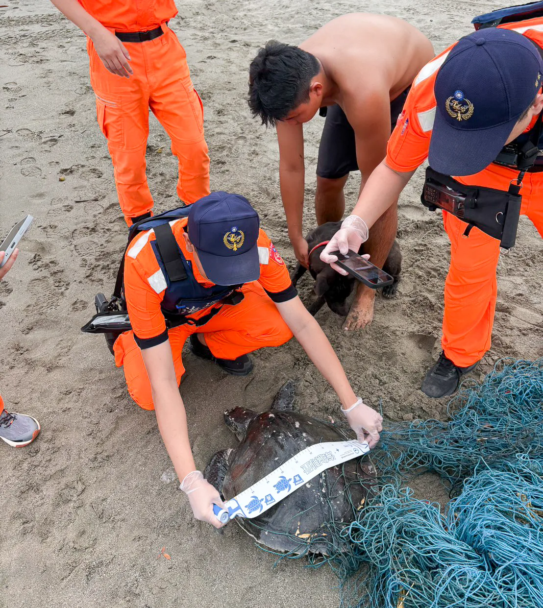 台東杉原灣海岸巡邏員昨（28）天下午救援一隻遭漁網纏困的欖蠵龜。台東縣政府提供