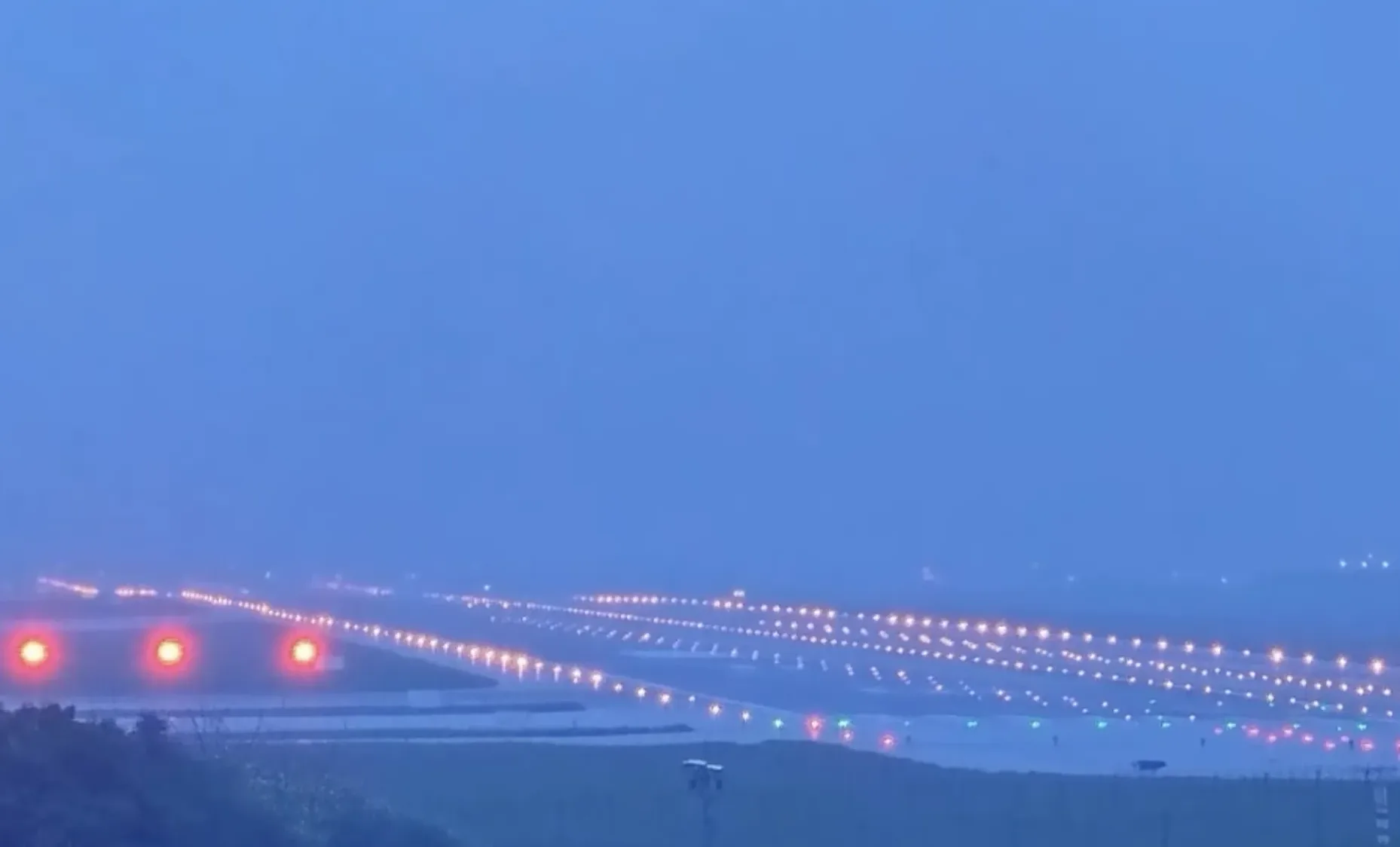 飛機跑道狗狗出沒、喜鵲航廈Long Stay　桃機：即時驅離、友善誘捕
